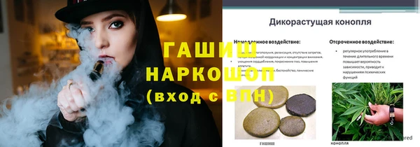 молекула духа Михайловка