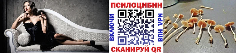 Галлюциногенные грибы Cubensis  наркота  гидра ссылки  Невельск 